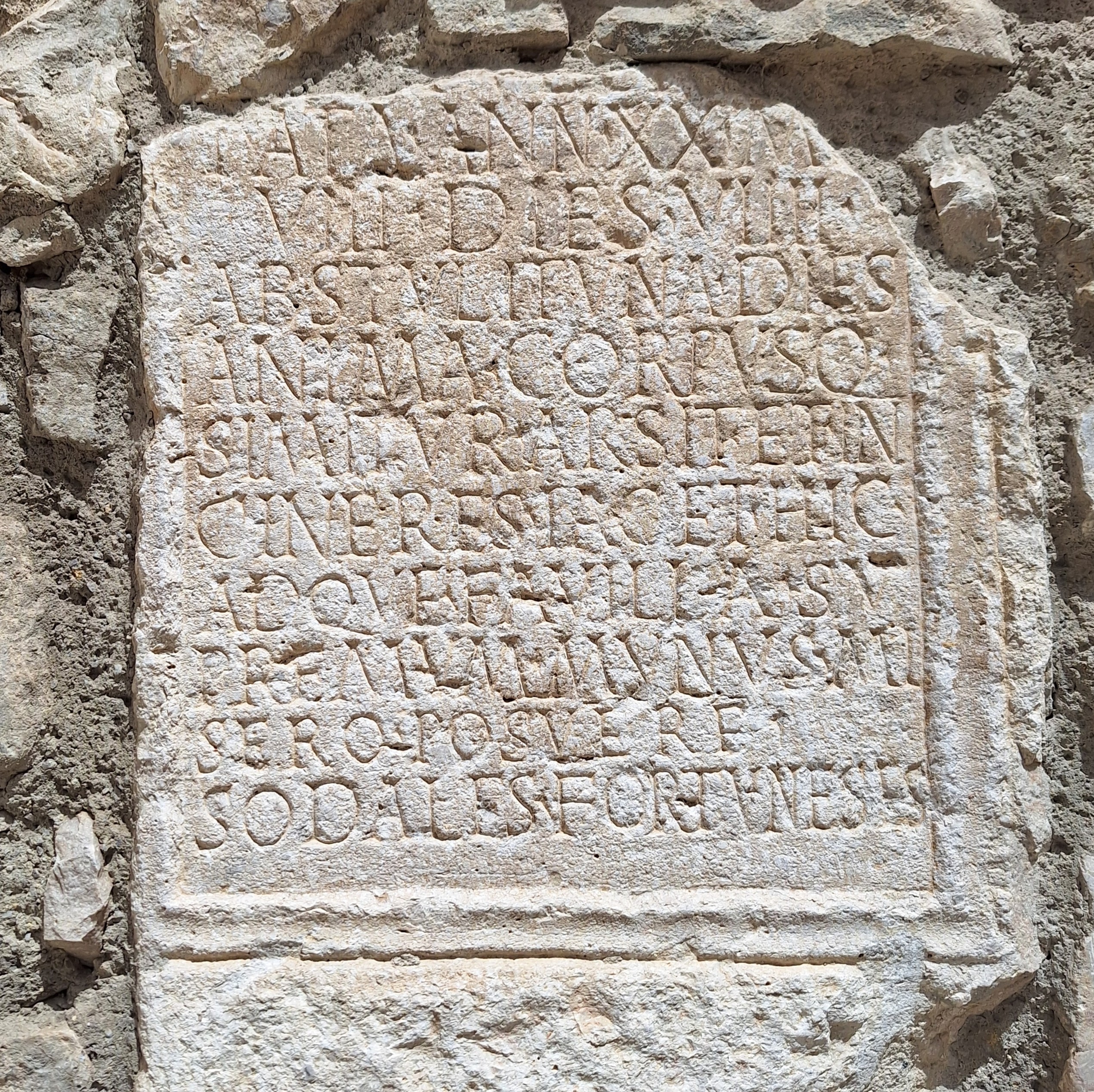 VENTI ANNI, OTTO MESI... - PORTA SAN LUCA