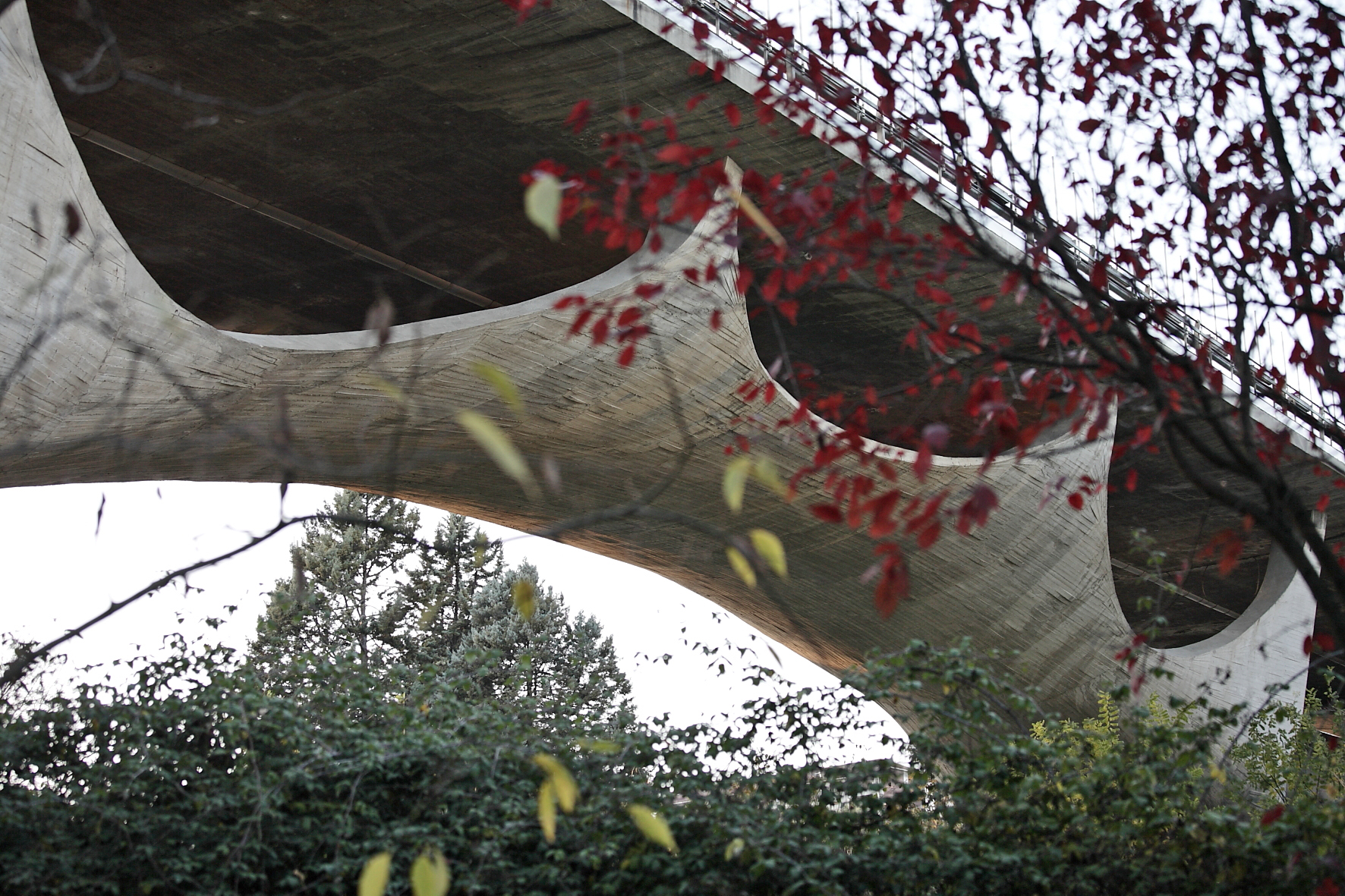 Ponte Musmeci