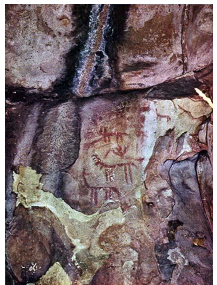 Le pitture rupestri in situ, il pannello principale