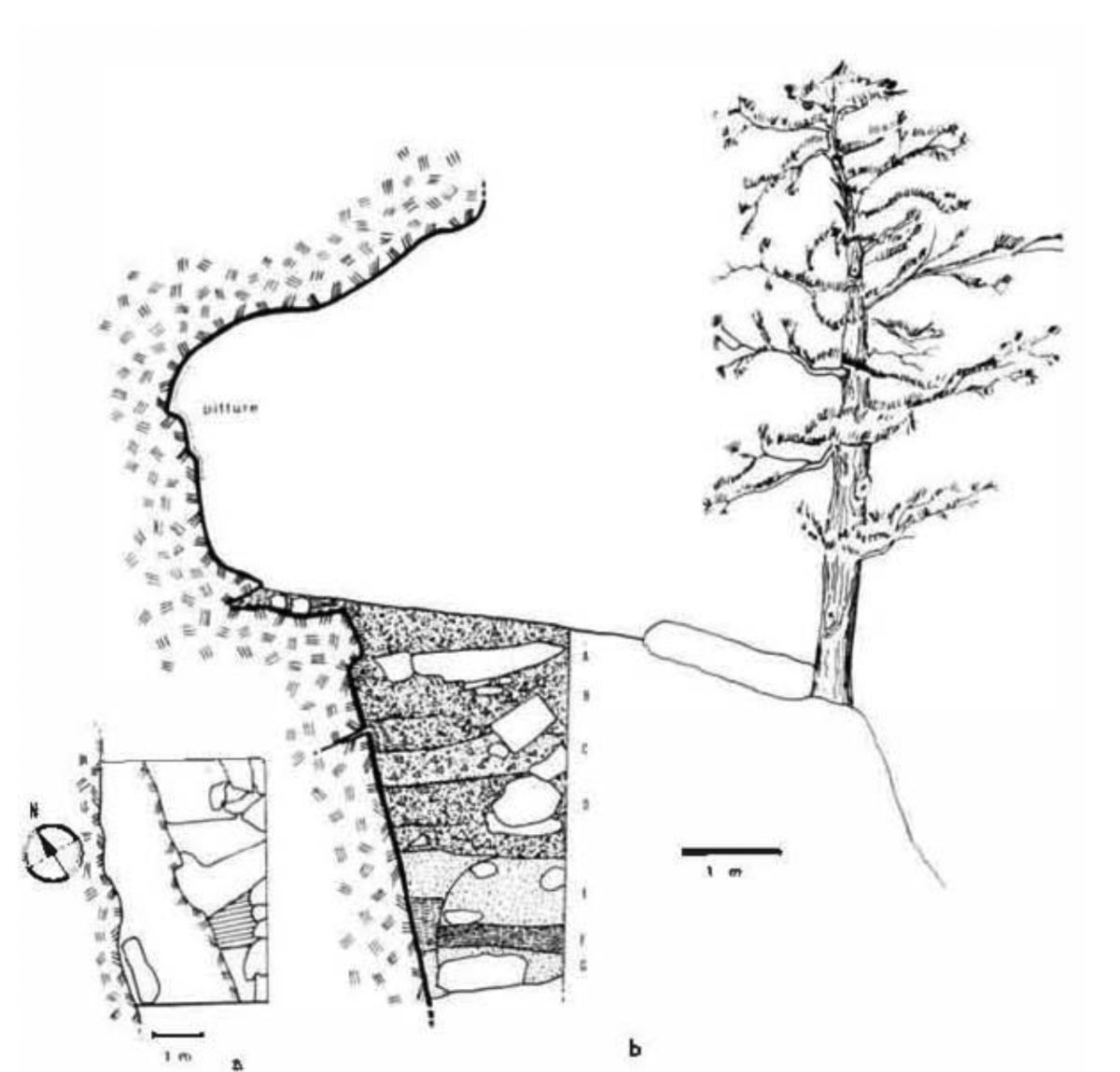 Sezione stratigrafica del riparo
